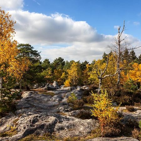 Suites Rive Gauche - Fontainebleau Chez Monique 外观 照片
